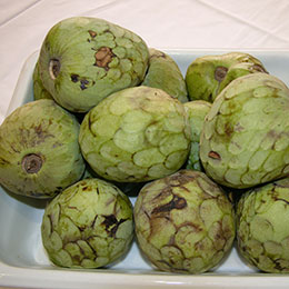 Cherimoya